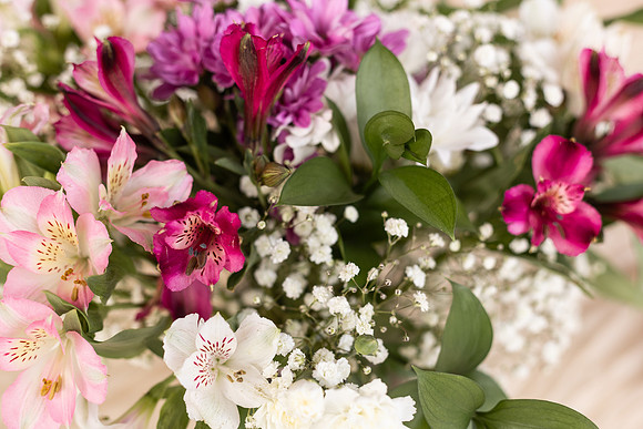 Spring Gala
