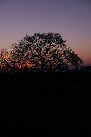 Brooklyn Photography