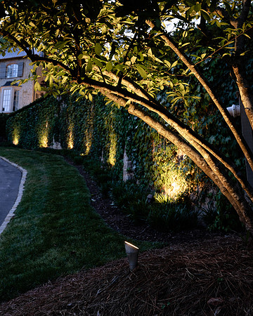 BrooklynPhotography-2369