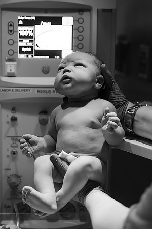 Nora Elizabeth