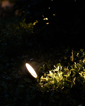 BrooklynPhotography-2376