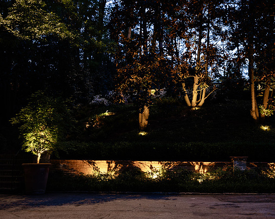 BrooklynPhotography-2380