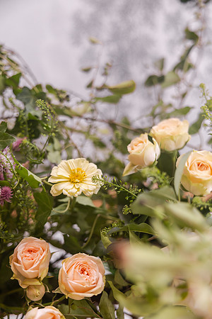 Studio Bridal