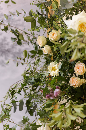 Studio Bridal