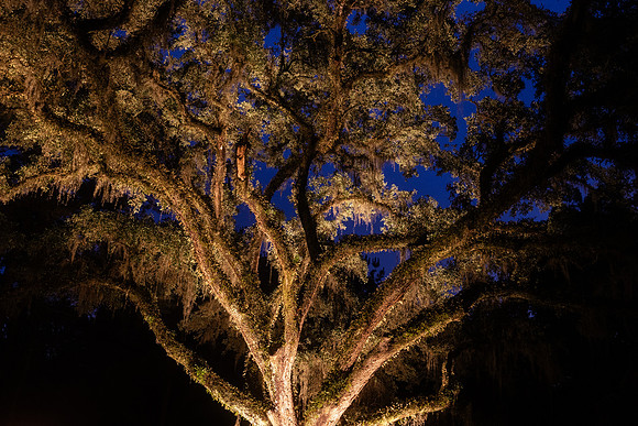 AS5A7956-HDR