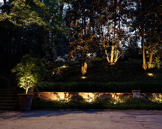 BrooklynPhotography-2379