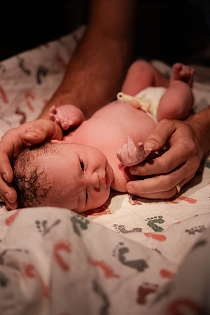 Nora Elizabeth