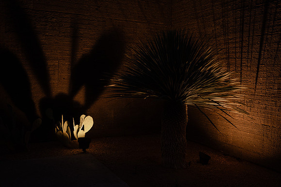 4x6 Web