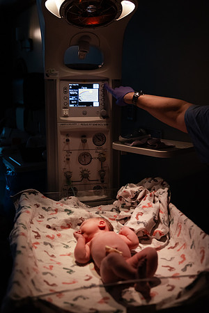 Nora Elizabeth